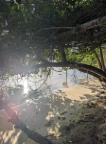 Beachfront Townhome at Little Bay Country Club: Pool, Beach, Backyard & More!