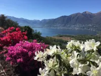 Luxury villa with a lake view