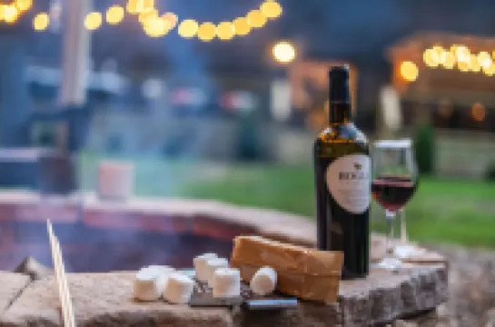 Twin Oaks Lodge: 4 Kings, Hot Tub, Sauna & EPIC Game Room