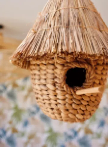 Parenthèse, T1 with balcony and backyard. Private beach and pool access Hotels in Grand-Bourg