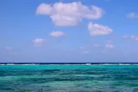 NO BIG TING - Beautiful Oceanfront Beach House, Snorkel Paradise w/ Private Pool