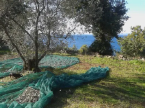 FARM SANT'ANTONIO / CHARMING VILLA WITH PRIVATE BEACH