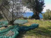 FARM SANT'ANTONIO / CHARMING VILLA WITH PRIVATE BEACH