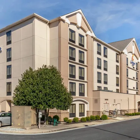Comfort Inn Greensboro - Kernersville Отели рядом с достопримечательностью «Торговый центр Four Seasons»