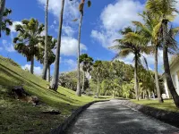 115| The Okavango Blue Studio| Le Diamant <br>Tourist home