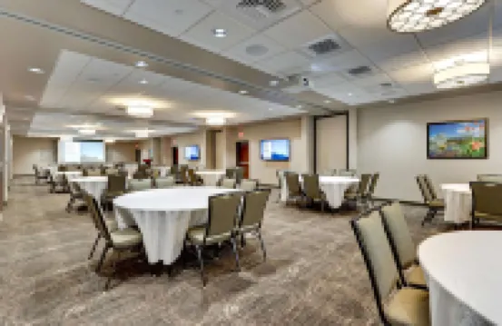 Drury Plaza Hotel St. Paul Downtown