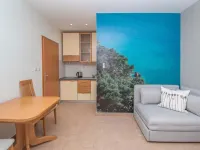 Apartments Antonio - Studio with Balcony (2+1) - 5