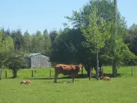Peaceful Retreat in Ferrières - Wifi