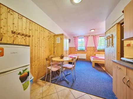 U Švýcarského dvora II Отели в г. Янске-Лазне