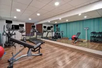 Holiday Inn Express & Suites ALLENTOWN CEN - DORNEYVILLE by IHG - Træningscentre