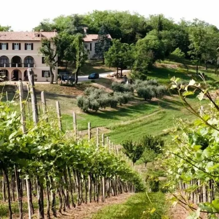 Agriturismo Villa Marani Отели в г. Теоло