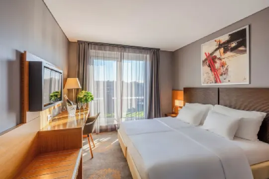 布達佩斯博物館飯店 住宿飯店