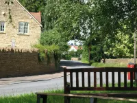 Elm View
