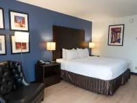 Wyndham New Orleans Airport & Conference Center Hotels in Kenner