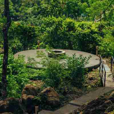 Matahom Forest House by Araw Residences Others