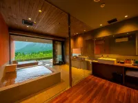 The Aconcagua Resorts - Hot Springs