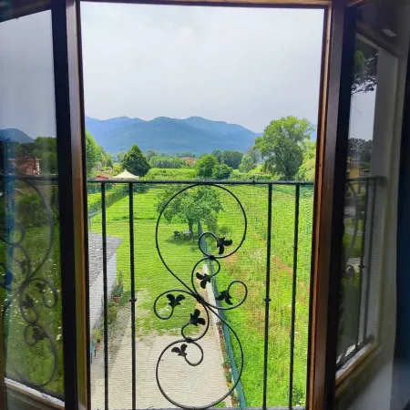 B&B Toringo