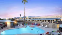Hotel McCoy - Art, Coffee, Beer, Wine - Swimmingpools