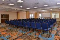 Fairfield Inn & Suites Sacramento Airport Woodland - Wifi