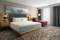 Hilton Garden Inn Richmond South/Southpark - Gym