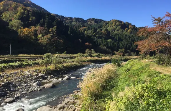 わくわく自然體験の宿ゲストハウス山楽
