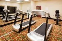 Holiday Inn Express & Suites PORT RICHEY by IHG - Kuntosalit