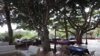 Albergo Miramare