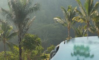 Padma Resort Ubud