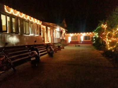 Garden Wild Flower Photo