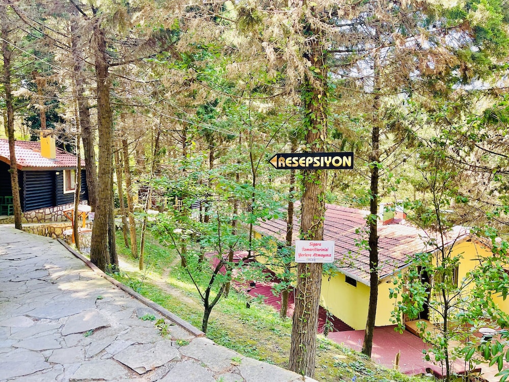 Ağva Orman Evleri Forest Lodge (Agva Orman Evleri Forest Lodge)