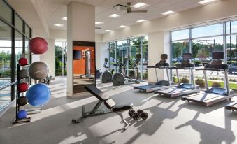 a well - equipped gym with various exercise equipment , including a treadmill , weights , and a punching bag at Hampton Inn & Suites Teaneck Glenpointe
