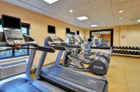 Homewood Suites by Hilton Boston/Cambridge-Arlington - Gym