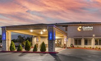 Comfort Inn & Suites Kelso - Longview