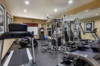 Best Western Plus DFW Airport West Euless - Gym