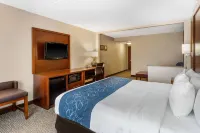 Comfort Suites Manassas Battlefield Park Hotels in Manassas