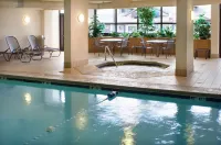 Drury Inn & Suites Frankenmuth - Swimmingpools