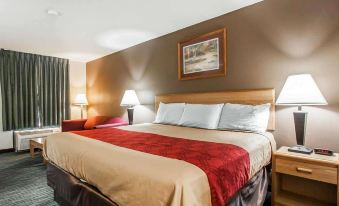 Econo Lodge Inn and Suites - Jackson