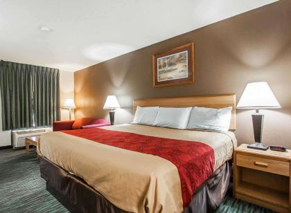 Econo Lodge Inn and Suites - Jackson