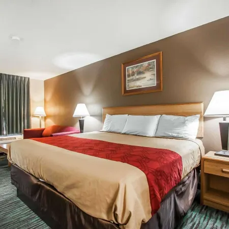 Econo Lodge Inn and Suites - Jackson