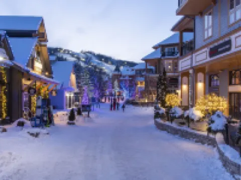 Blue Mountain Inn Hotels in Blue Mountains