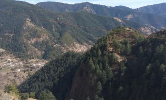 SuperFriendly Stay in Sanjauli Shimla