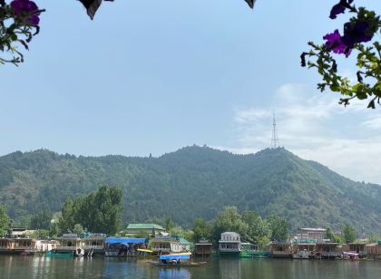 Hollywood Group of Houseboat - Dal Lake
