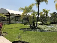 基安瓦卡爾納莫里亞收藏