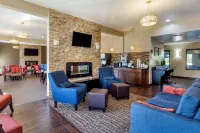 Comfort Inn & Suites North Aurora - Naperville - parking
