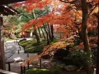 Saginoyusou Hôtels à : Yasugi
