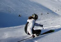 Pinewood Motels Hotels in Burkes Pass