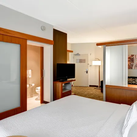 SpringHill Suites Cincinnati Airport South