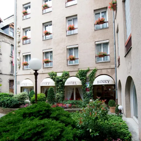 Hotel Biney