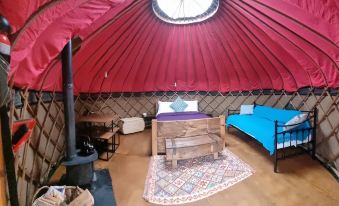 Charming Yurt in Kelburn Estate Near Largs