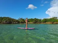 Luana Mele Iriomote Hotels in Taketomi